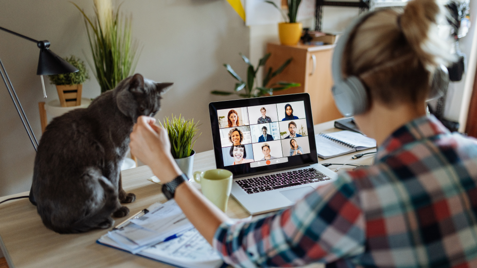 An image of a woman in a video meeting on her laptop, working from home. She has a headset on and is stroking her cat with her left hand