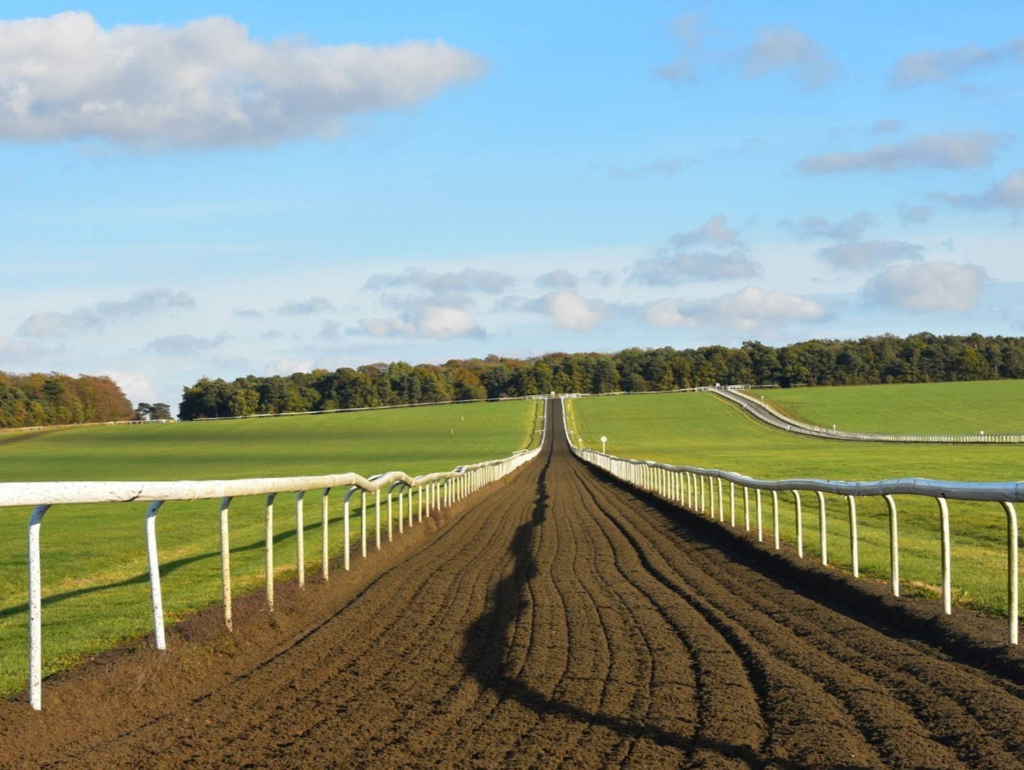 A view of Newmarket Races from the track