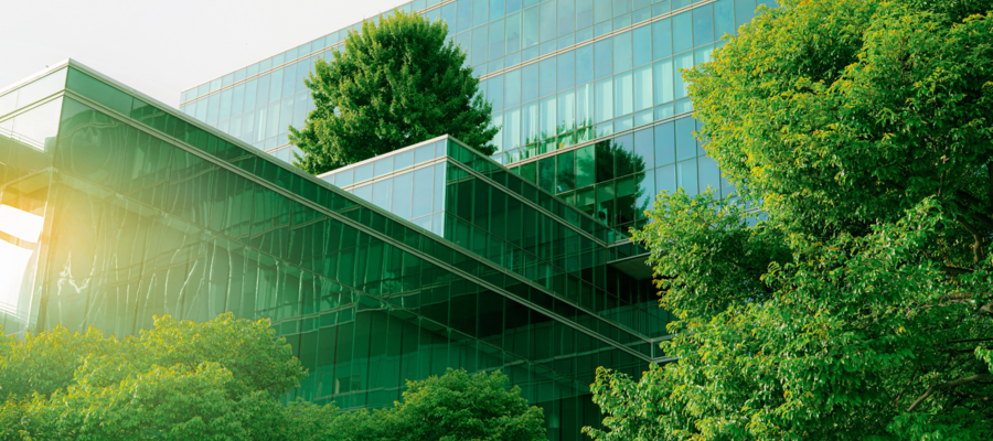 A building surrounded by trees